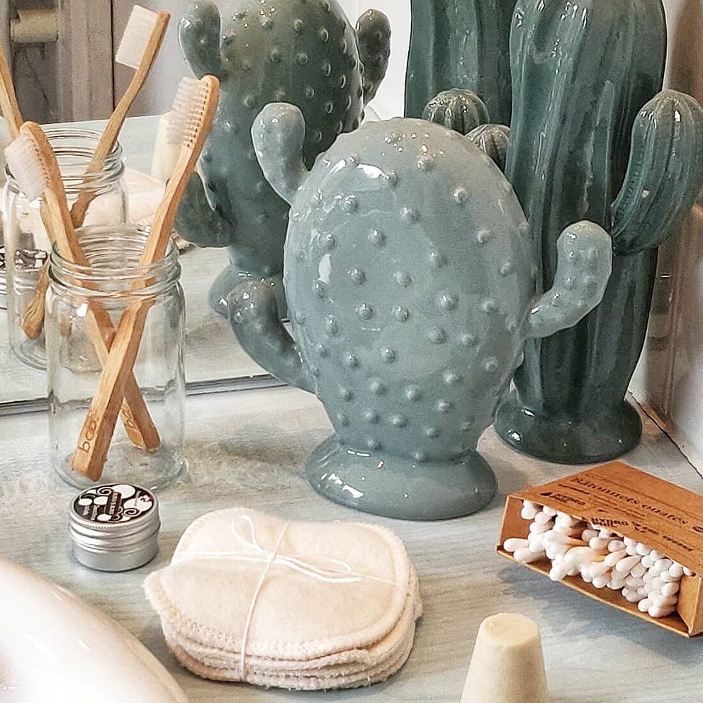 Discover the MINT brands Eurovet (EN)